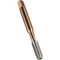General Purpose Machine Pipe Tap, 10-1.25, 3 Flutes, 80 mm L, Taper, High Speed Steel Mukwa Safety Services