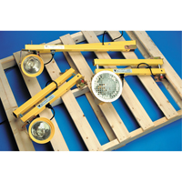 Dock Lights, 60" Arm, Incandescent Lamp, Metal Mukwa Safety Services