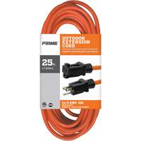 Cordon rallonge en vinyle, Ext&eacute;rieur, SJTW, AWG 14/3, 15 A, 25' Mukwa Safety Services