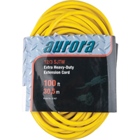 Cordon rallonge en vinyle, Ext&eacute;rieur, SJTW, AWG 12/3, 15 A, 100' Mukwa Safety Services