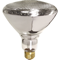 Economy Line Incandescent Lamps Mukwa Safety Services