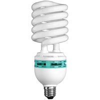 Hang-A-Light&reg; Work Light Bulb, 105 W Mukwa Safety Services