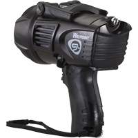 Projecteurs style pistolet Waypoint, DEL, 550 Lumens, Piles C Mukwa Safety Services