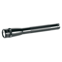Lampes de poche Mini Pro, DEL, 332 lumens, Piles AA Mukwa Safety Services