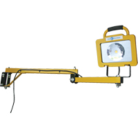 Heavy-Duty Dock Light, 40" Arm, 38 W, LED Lamp, Metal Mukwa Safety Services