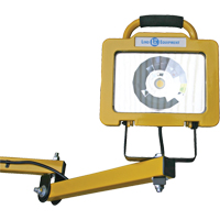 Heavy-Duty Dock Light, 40" Arm, 38 W, LED Lamp, Metal Mukwa Safety Services
