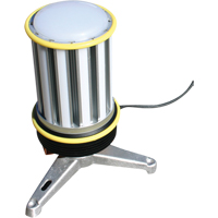 Task & Work Lighting