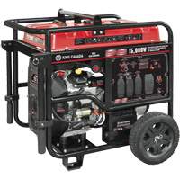 V-Twin Gasoline Generator, 15000 W Surge, 12500 W Rated, 120 V/240 V, 40 L Tank Mukwa Safety Services