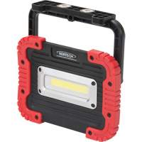 Portable Work Light, LED, 10 W, 1000 Lumens, Plastic Housing Mukwa Safety Services