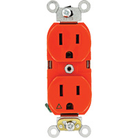 Extra Heavy-Duty Industrial Grade Duplex Outlet Mukwa Safety Services