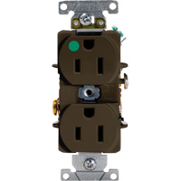 Hospital Grade Duplex Outlet Mukwa Safety Services