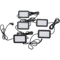 Chaîne de baladeuses DEL, 5 Lumi&egrave;res, 50' lo, Boîtier en Plastique Mukwa Safety Services