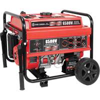 Electric Start Gas Generator with Wheel Kit, 6500 W Surge, 5000 W Rated, 120 V/240 V, 20 L Tank Mukwa Safety Services