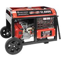 Electric Start Gas Generator with Wheel Kit, 12000 W Surge, 9000 W Rated, 120 V/240 V, 31 L Tank Mukwa Safety Services
