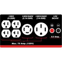 Gasoline/Propane Generator with Electric Start Mukwa Safety Services