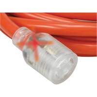 Generator Extension Cord with Quad Tap, Outdoor, 10 AWG, 30 A, 4 Outlet(s), 25' Mukwa Safety Services