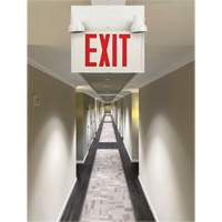 Exit Sign with Security Lights, LED, Battery Operated/Hardwired, 12-1/10" L x 11" W, English Mukwa Safety Services