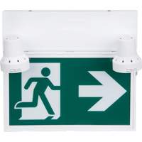 Running Man Sign with Security Lights, LED, Battery Operated/Hardwired, 12-1/10" L x 11" W, Pictogram Mukwa Safety Services