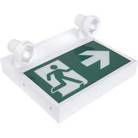 Running Man Sign with Security Lights, LED, Battery Operated/Hardwired, 12-1/10" L x 11" W, Pictogram Mukwa Safety Services