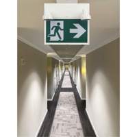 Running Man Sign with Security Lights, LED, Battery Operated/Hardwired, 12-1/10" L x 11" W, Pictogram Mukwa Safety Services