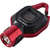 Lampe de poche USB Pocket Mate Mukwa Safety Services