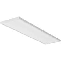 CPANL Flat Panel Ceiling Light Mukwa Safety Services