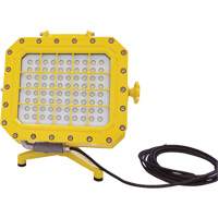 Explosion Proof Floodlight with Floor Stand, LED, 40 W, 5600 Lumens, Aluminum Housing Mukwa Safety Services