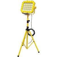 Explosion Proof Floodlight with Tripod, LED, 40 W, 5600 Lumens, Aluminum Housing Mukwa Safety Services