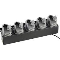 Chargeur de batteries de lampe de poche Survivor X Mukwa Safety Services