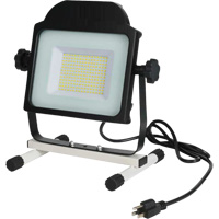 Floodlight, LED, 100 W, 10000 Lumens Mukwa Safety Services