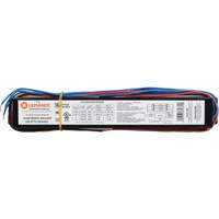 T8 3-Lamp Fluorescent Ballast Mukwa Safety Services