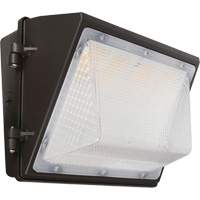 Non-Cutoff Wall Pack, LED, 120 - 277 V, 75 - 110 W, 9.33" H x 6.65" W x 14.5" D Mukwa Safety Services