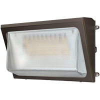 Wall Pack Light Fixture, LED, 120 -347 V, 40 W Mukwa Safety Services