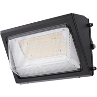 Wall Pack Light Fixture, LED, 120 -347 V, 80 W Mukwa Safety Services