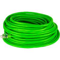 Industrial Extension Cord, All-Weather, SJTW, 10/3 AWG, 15 A, 50' Mukwa Safety Services
