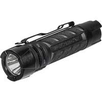 PolyTac&reg; 1X Flashlight, LED, 350 Lumens, AA/CR123A Batteries Mukwa Safety Services