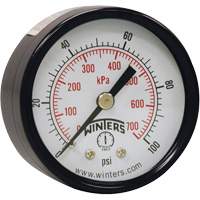 Economy Pressure Gauge, 2" , 0 - 160 psi, Back Mount, Analogue Mukwa Safety Services