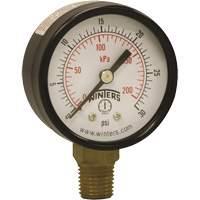 Economy Pressure Gauge, 2" , 0 - 30 psi, Bottom Mount, Analogue Mukwa Safety Services