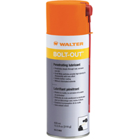 Bolt-Out Penetrating Lubricant, Aerosol Can Mukwa Safety Services